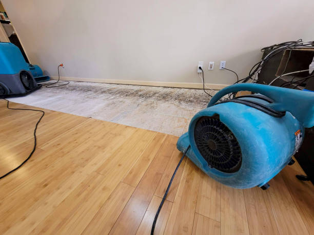 Reliable Basement Flood Cleanup contractor in Nuevo, CA by Hirex Water Damage