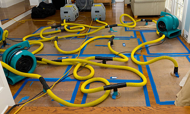 Professional Basement Flood Cleanup technician working in Nuevo, CA